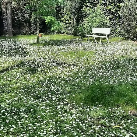 Bed and Breakfast La Mansarda Delle Meraviglie Superior 4*