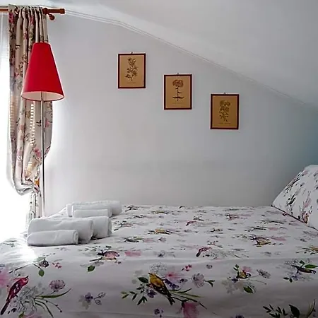 La Mansarda Delle Meraviglie Superior Bed and Breakfast Τεργέστη